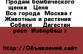 Продам бомбического щенка › Цена ­ 30 000 - Все города, Москва г. Животные и растения » Собаки   . Дагестан респ.,Избербаш г.